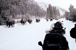Travelers Snowmobile Rentals in West Yellowstone, Montana
